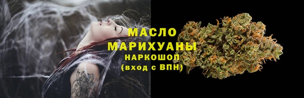 индика Белокуриха