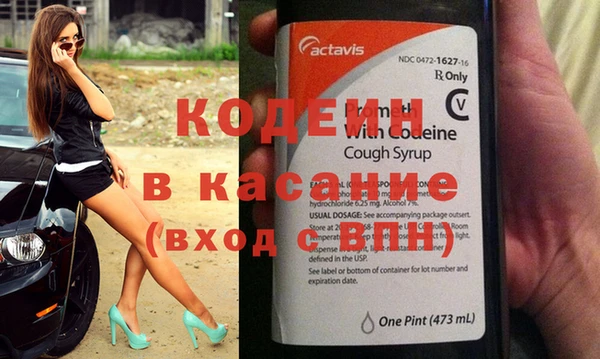 индика Белокуриха