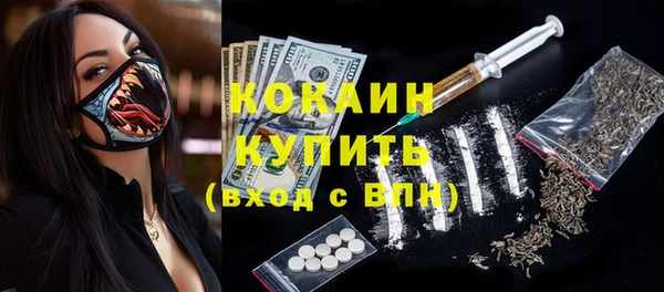 индика Белокуриха