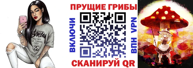 цена наркотик  Бикин  Псилоцибиновые грибы Psilocybine cubensis 