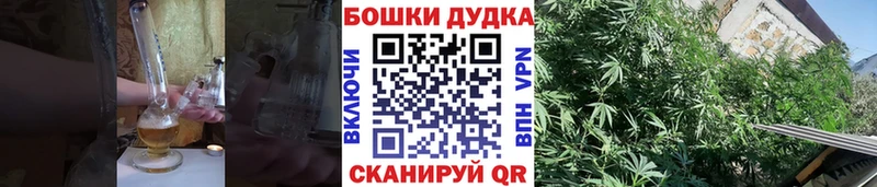 Шишки марихуана AK-47  где можно купить   Бикин 